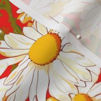 pop art daisies in red white and yellow