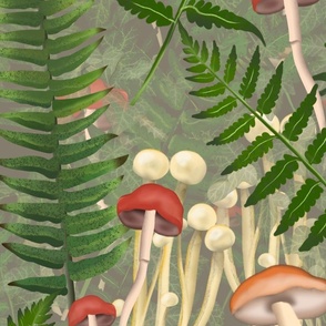 Forest biome: ferns, mushrooms