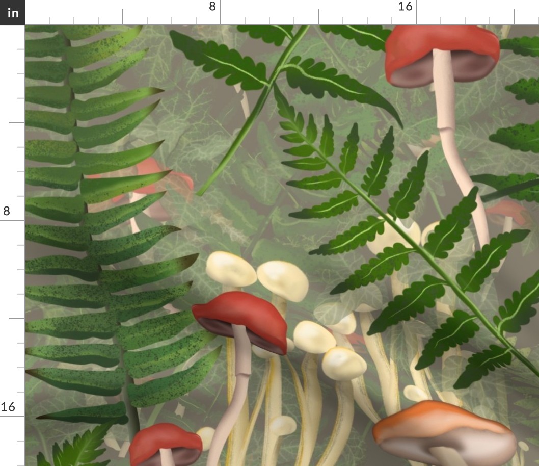 Forest biome: ferns, mushrooms