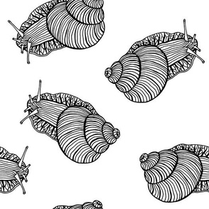 Hand Drawn Black Line Art Snails on White