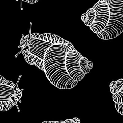 Hand Drawn White Line Art Snails on Black