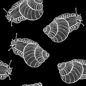 Hand Drawn White Line Art Snails on Black