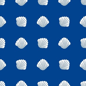 Seashells on Blue Background