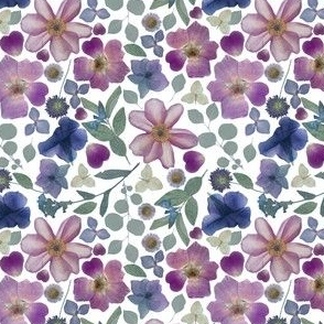 Real Pressed Garden Florals - 4x4  Blues & Purples