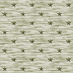 Barn star texture in moss green. Small scale