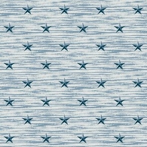 Barn star texture in weldon blue. Small scale