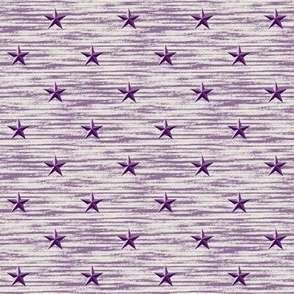 Barn star texture in wisteria purple. Small scale