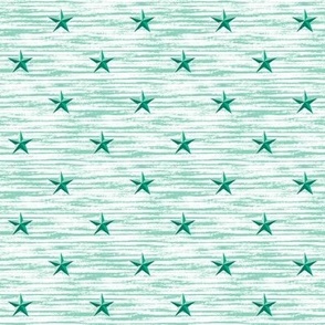 Barn star texture in ocean mint and white. Small scale