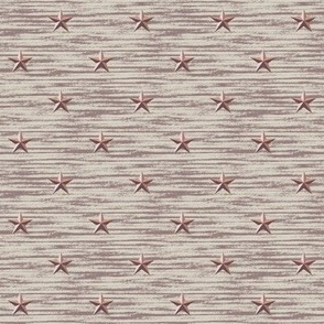 Barn star texture in taupe brown. Small scale