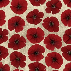 Large Dotted Poppy Florals on Off-White Textured Background