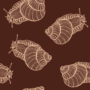 Hand Drawn Snails Brown and Beige Line Art