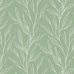 Sage green hand drawn vertical branches. Leaves trailing. Floral wines.
