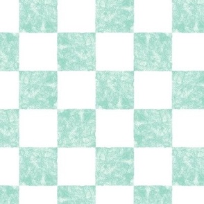 Textured prairie check in ocean mint and white. Small scale