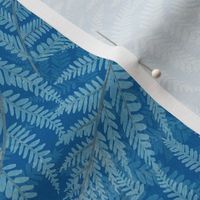 Silver Fern,  Blue