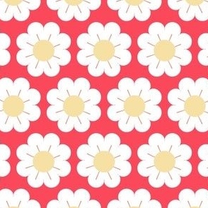 White daisy floral design on pink background