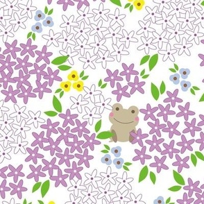 Frog in hydrangea