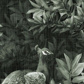 Romantic Dramatic Bird Nature Flora and Fauna Feature Wall Mural, Monochrome Peacock Paradise, Antique Exotic Black and Grey Botanical, Luxe Hand Drawn Birds, Leafy Wild Dark Forest Foliage, LARGE SCALE