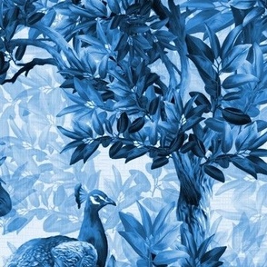 Maximalist Interior Modern Peacock Birds Toile, Bold Peacock Blue Dark Forest Decor, Antique Botany Country Garden, Textured Blue and White