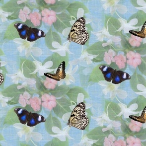 Blue and Pink Flying Insects, Exotic Flying Butterfly, Blue and White Butterfly Wings, Pink Botanical Garden Flowers, Pretty Cottagecore Chic, Sky Blue Linen Texture Background