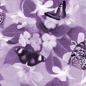 Blue Moon Butterfly, Native Animal Habitat, Purple Monotone Insect Toile, Tropical Monochromatic Floral, Flying Butterflies Nectar Lovers, White Orchid Lily Flowers, Nostalgic Contemporary Country Cottage