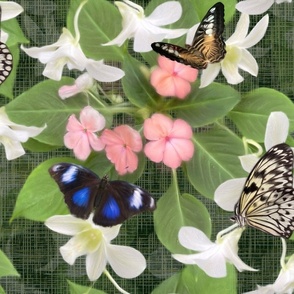 Natures Springtime Butterfly Garden, White and Blue Flying Insects, Botanic Garden Nectar Frenzy, Green and Pink Floral Pattern, Tropical White Lily Orchid Flowers