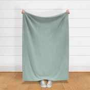 Dark Muted Teal Green Blue Solid Block Color Plain Colour.