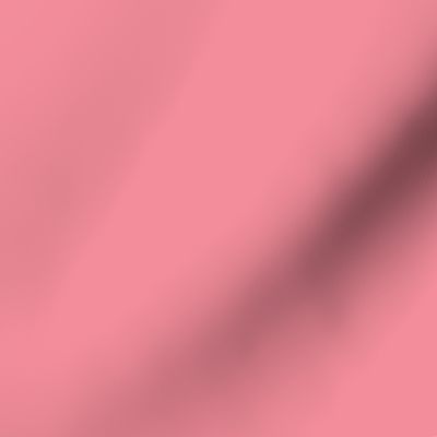 Hot Pink Lemonade Rouge, Flamingo Pink, Solid Pink Blush, Plain Block Color, Plain Pink Colour, Single Solid Color, Flamingo Bird Pink, Rose Pink, One Single Color, Pretty Pink Floral Rose Color, Pink Rouge Blush, Matching Pink Background Color, Soft Pink