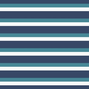 large blue stripe / A