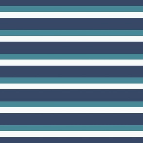 medium blue stripe / A