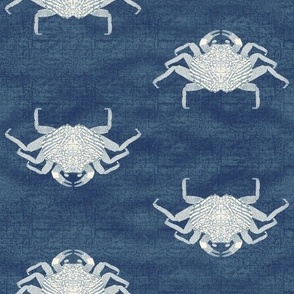 Coastal Chic Crabs in a row on blue water