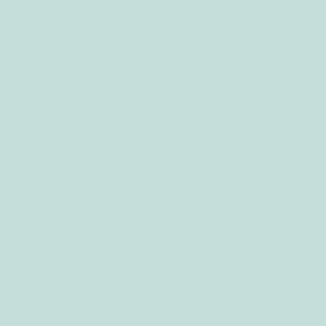 c5ded9 Solid color non printed coordinate duck egg blue