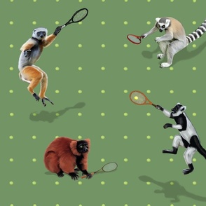court sports - lemurs play tennis
