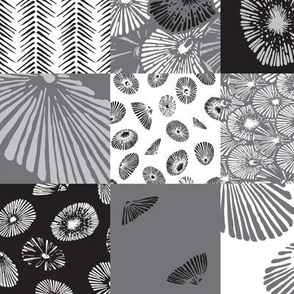 3” Black and White Opihi Patchwork b/w Limpet