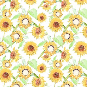 White Yellow Sunflowers Watercolor Floral