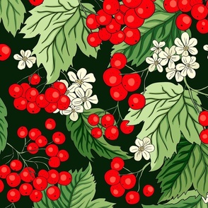 Viburnum red forest berry floral wildberry