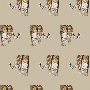Snow leopard handpainted illustration beige - medium scale