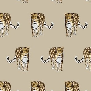 Snow leopard handpainted illustration beige - small scale