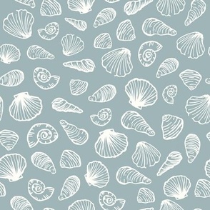 seashells ice blue 