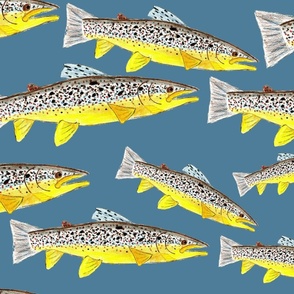 Hand Drawn Brown Trout on Blue
