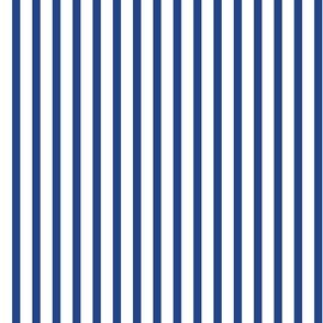 Simple Vertical Stripe  , blue and white