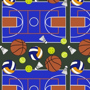 Multigame Court and Balls for Court Play