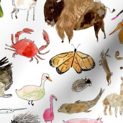 Animals, Animals illustrated pattern