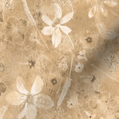 Faded Clematis beige