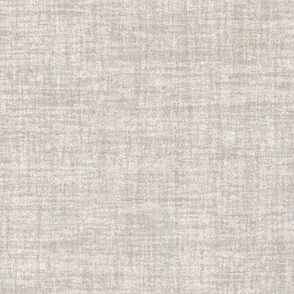 Celebrate Color Natural Texture Solid White Plain White Neutral Earth Tones _Winds Breath Neutral Warm Gray DFD9CC Fresh Modern Abstract Geometric