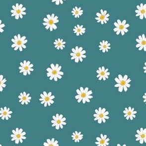 White daisies on teal background 