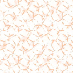Chaos And Contrast A Feminine Abstract in Peach Fuzz Color Of The Year 6/8