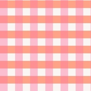 Spring gingham - hot pink and bright melon orange