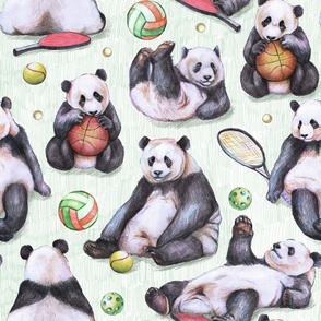 pandas and court sports