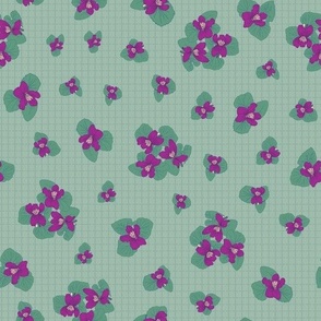Purple Wild Violets on a Lattice Texture on a Green Background