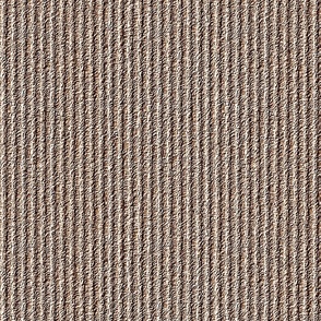 Rough Corduroy Stripes in Gritty Brown Small